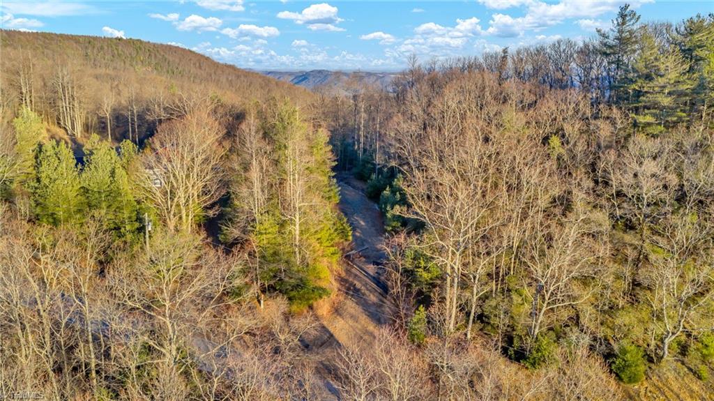Tbd Lump Road Purlear, NC 28665 - Photo 12 of 25