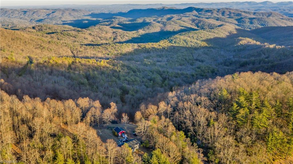 Tbd Lump Road Purlear, NC 28665 - Photo 13 of 25