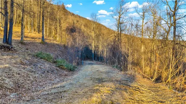 $949,500 | Tbd Lump Road, Purlear, NC 28665