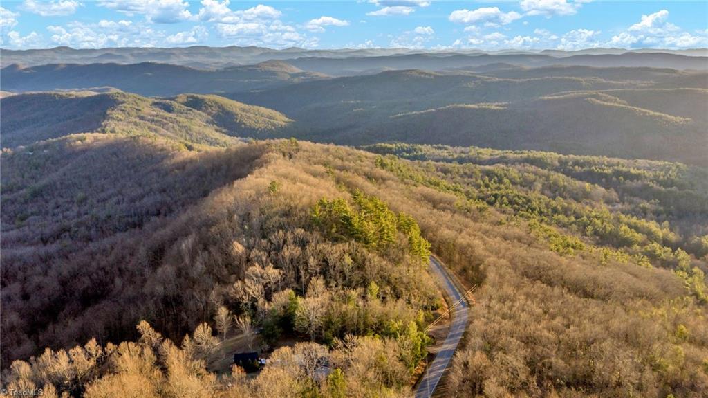 Tbd Lump Road Purlear, NC 28665 - Photo 17 of 25