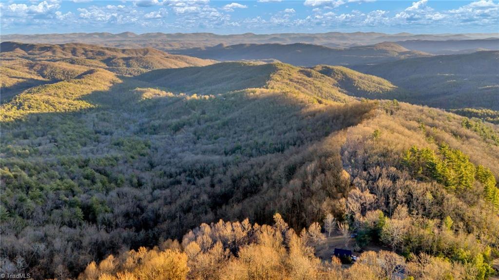 Tbd Lump Road Purlear, NC 28665 - Photo 18 of 25