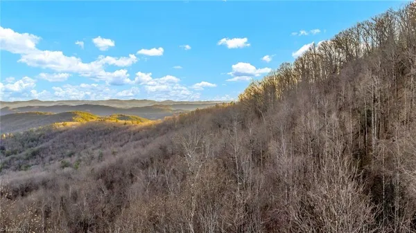 $949,500 | Tbd Lump Road, Purlear, NC 28665