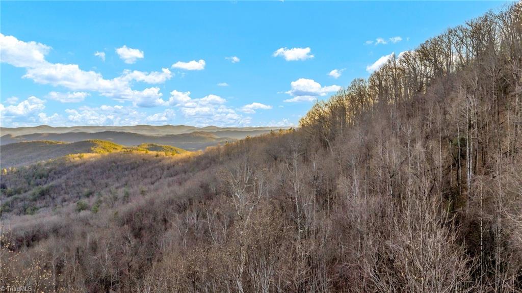 Tbd Lump Road Purlear, NC 28665 - Photo 19 of 25