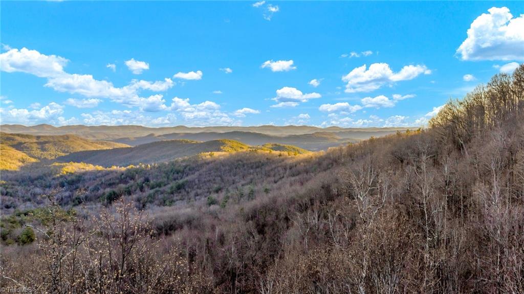 Tbd Lump Road Purlear, NC 28665 - Photo 20 of 25