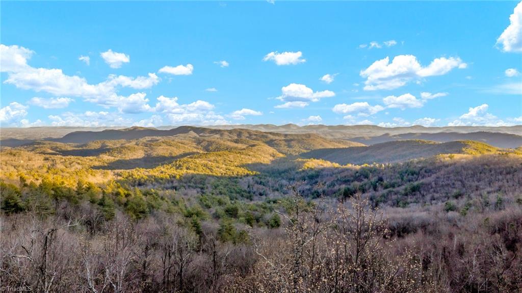 Tbd Lump Road Purlear, NC 28665 - Photo 21 of 25