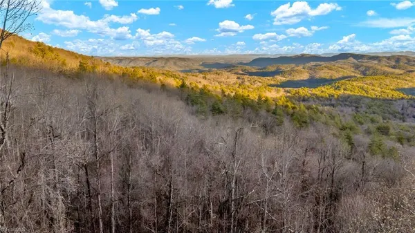 $949,500 | Tbd Lump Road, Purlear, NC 28665