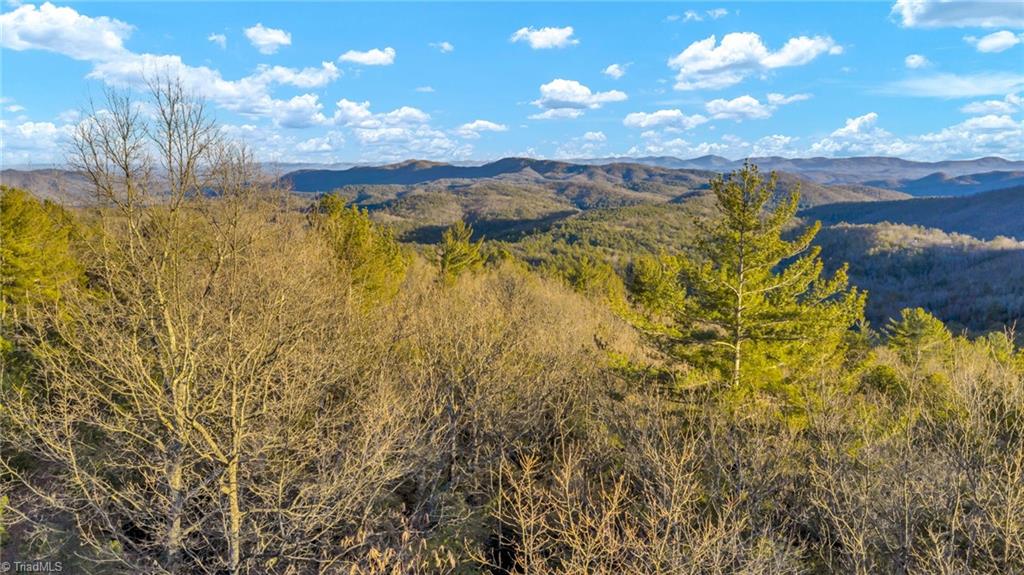 Tbd Lump Road Purlear, NC 28665 - Photo 23 of 25