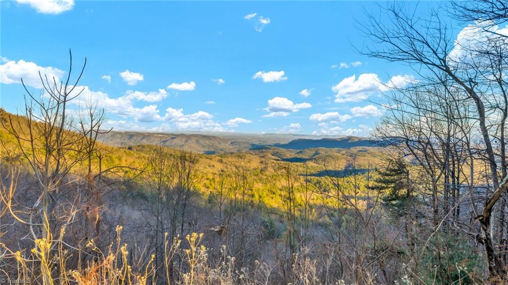 Tbd Lump Road Purlear, NC 28665 - Photo 24 of 25