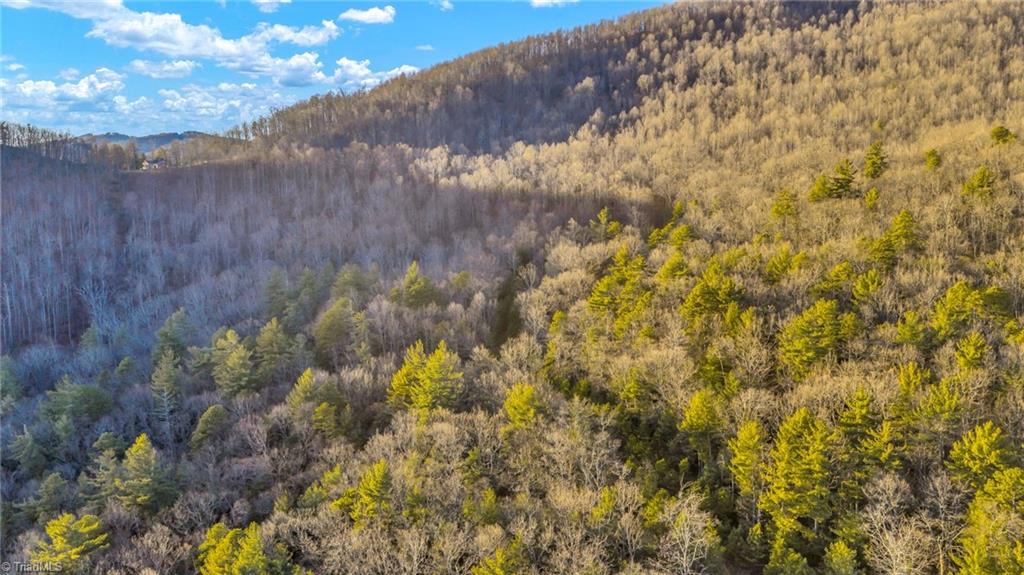 Tbd Lump Road Purlear, NC 28665 - Photo 25 of 25