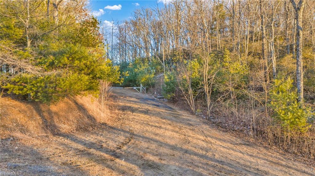 Tbd Lump Road Purlear, NC 28665 - Photo 3 of 25
