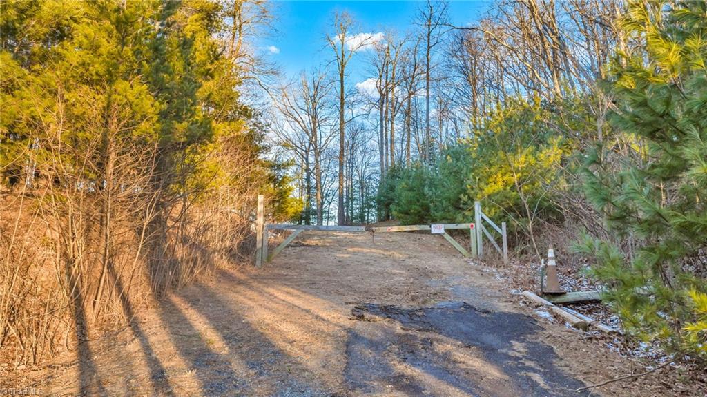 Tbd Lump Road Purlear, NC 28665 - Photo 4 of 25