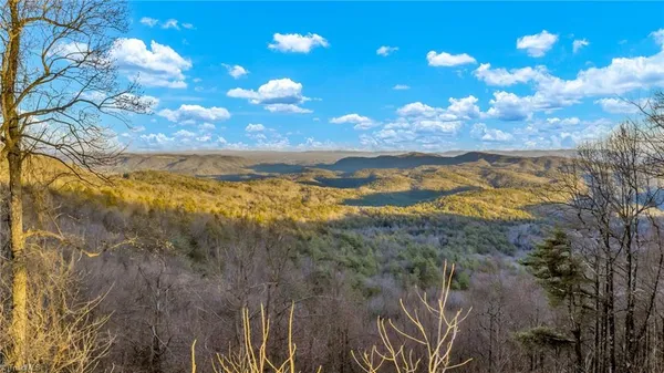 $949,500 | Tbd Lump Road, Purlear, NC 28665