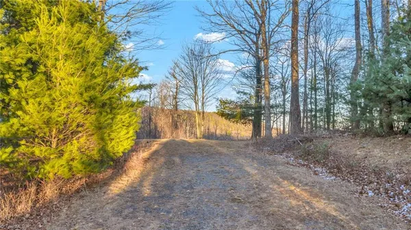 $949,500 | Tbd Lump Road, Purlear, NC 28665