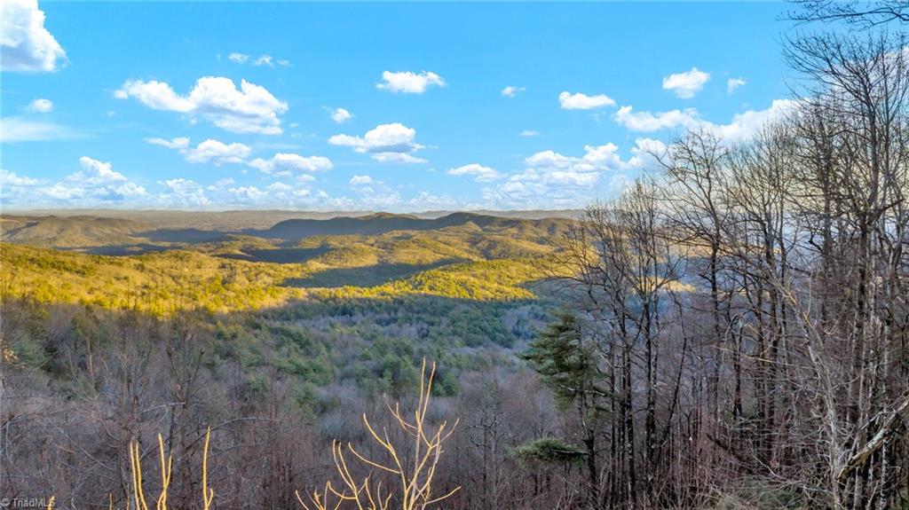 Tbd Lump Road Purlear, NC 28665 - Photo 8 of 25