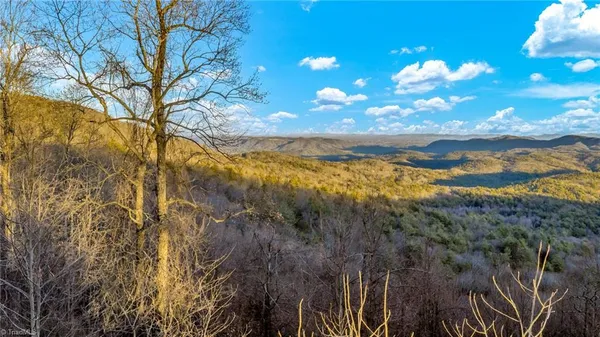 $949,500 | Tbd Lump Road, Purlear, NC 28665