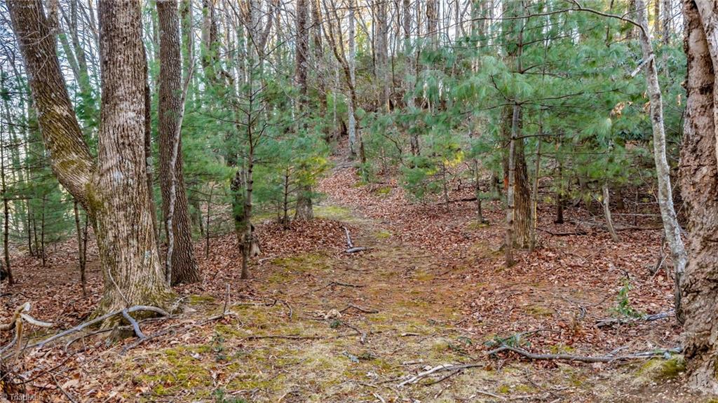 Tbd Lump Road Purlear, NC 28665 - Photo 10 of 25