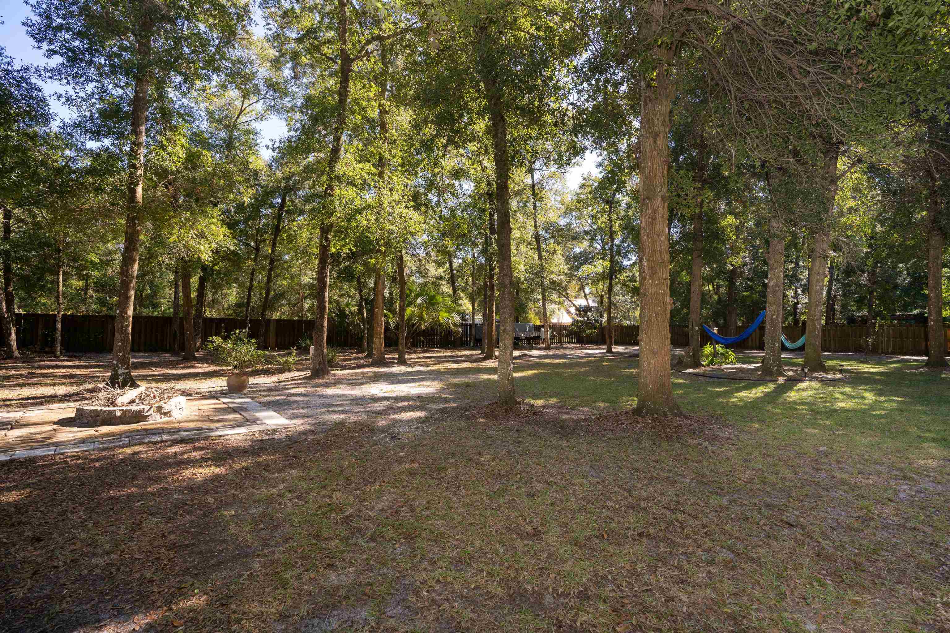 4260 Wicks Branch Road St. Augustine, FL 32086 - Photo 28 of 31 a view of a tree in the middle of a yard