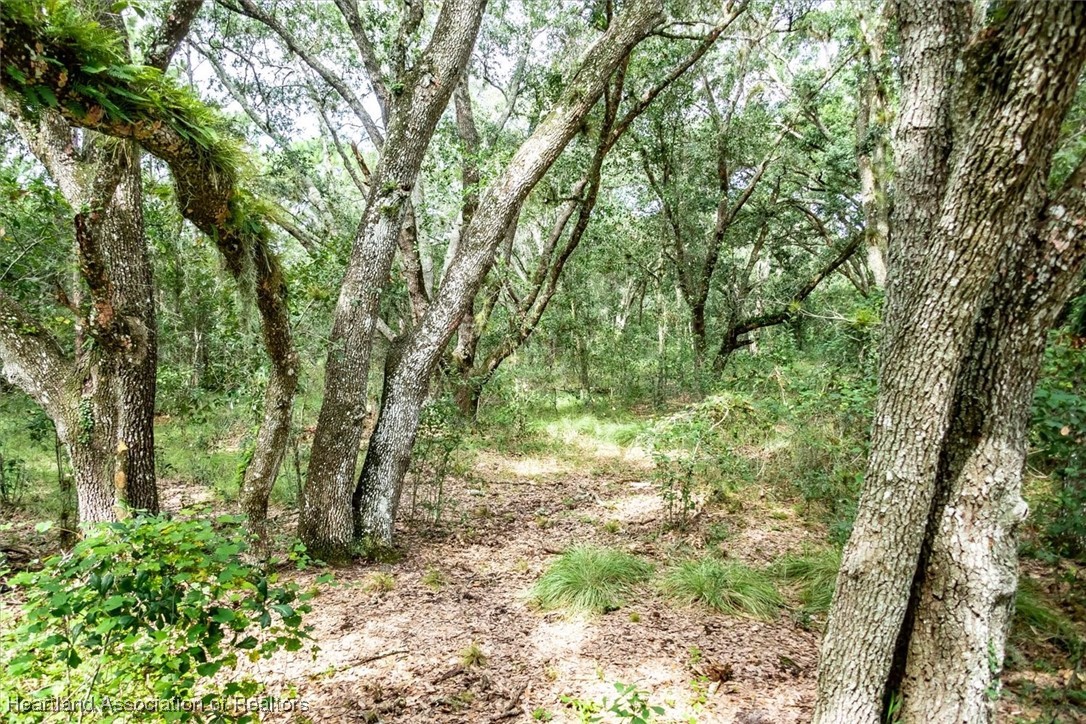2101 Wolf Creek Road Sebring, FL 33875 - Photo 5 of 9 Gallery Image 5
