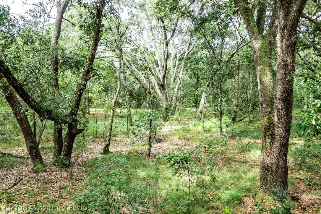 2101 Wolf Creek Road Sebring, FL 33875 - Photo 8 of 9 Gallery Image 8