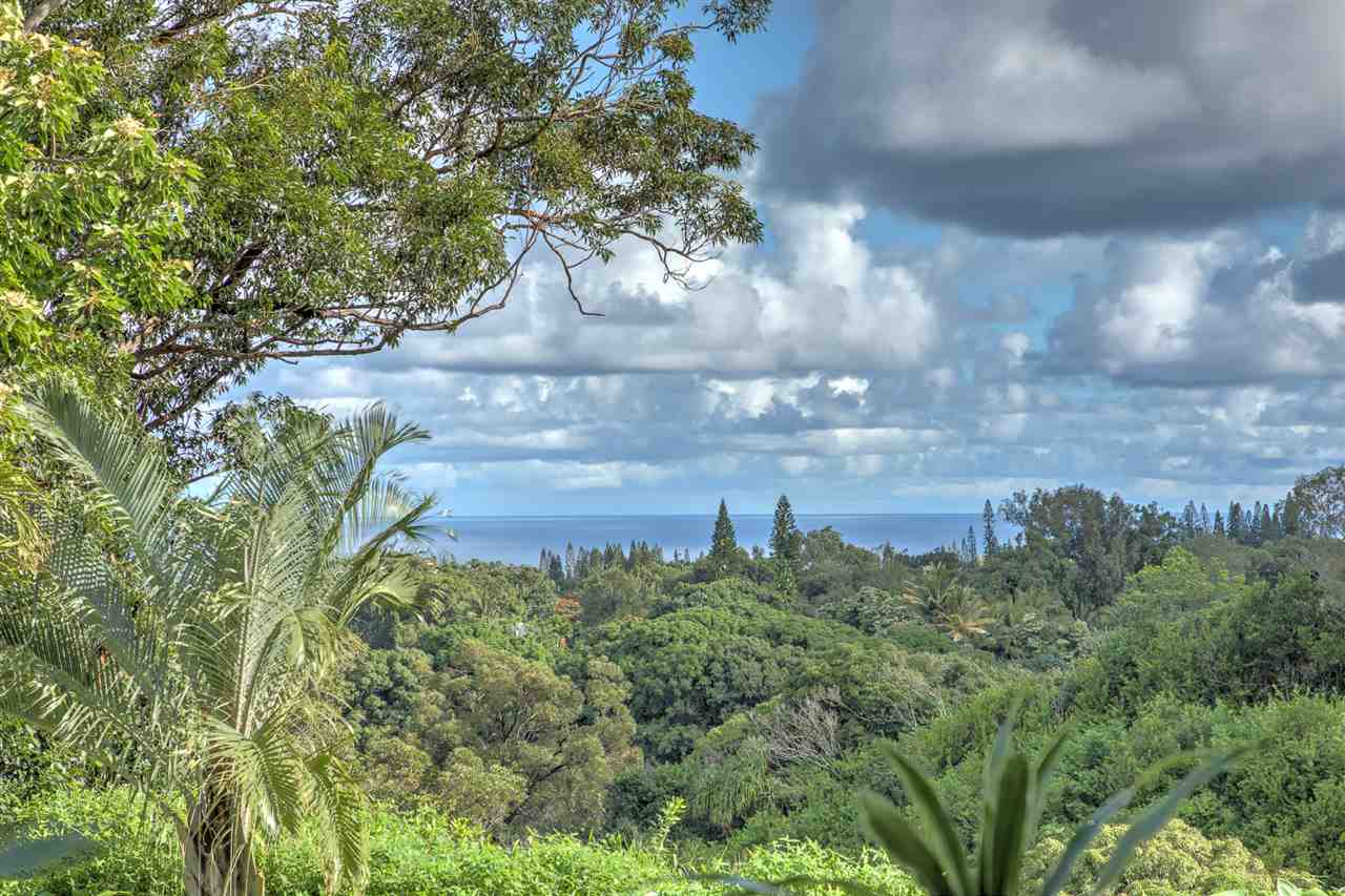 88 Mauu Place Haiku, HI 96708 - Photo 1 of 1 View from the Kitchen Bay Window looking out across your nearest neighbor-the East Kuiaha Gulch-Pictures cannot capture the view.