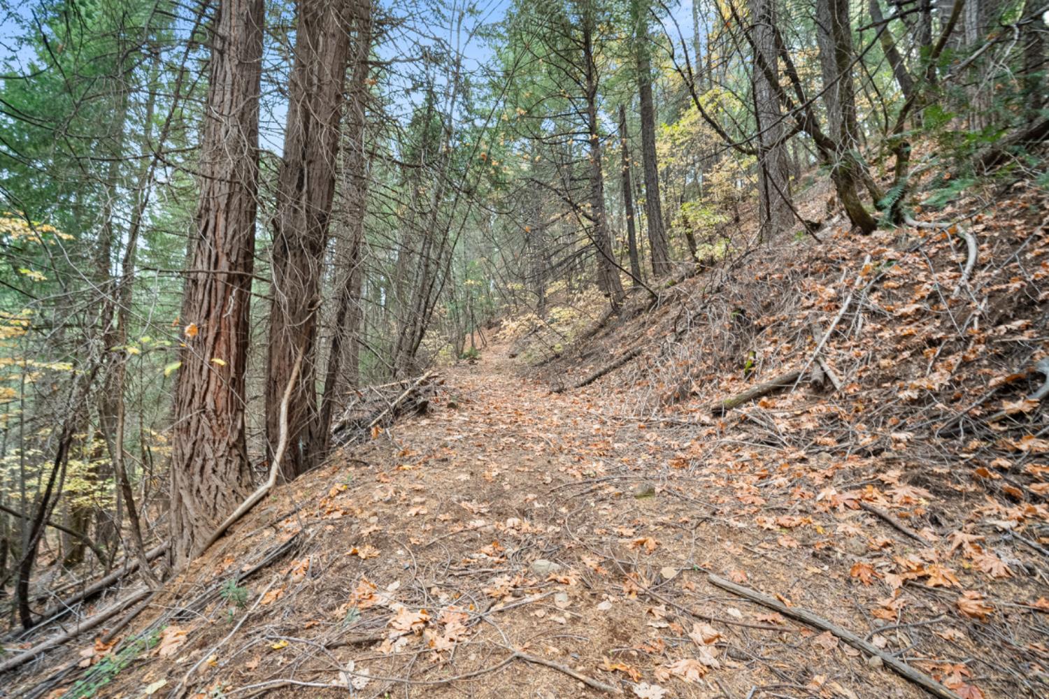 0 Starkes Grade Road Pollock Pines, CA 95726 - Photo 12 of 23