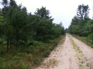 Puffin Road Grayling, MI 49738 - Photo 5 of 7 Gallery Image 5
