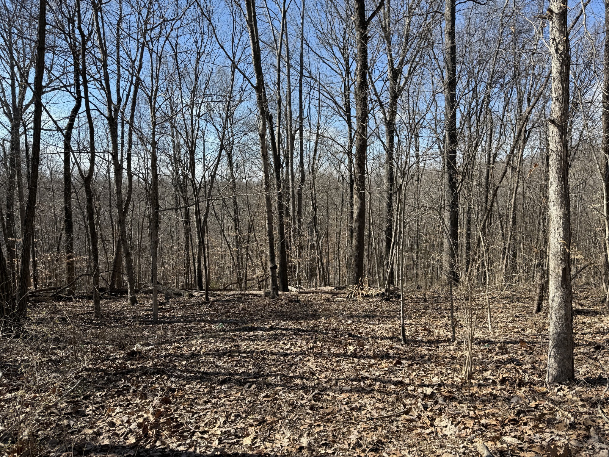 0 Hester Beasley Road Nashville, TN 37221 - Photo 11 of 57 a view of outdoor space with green space