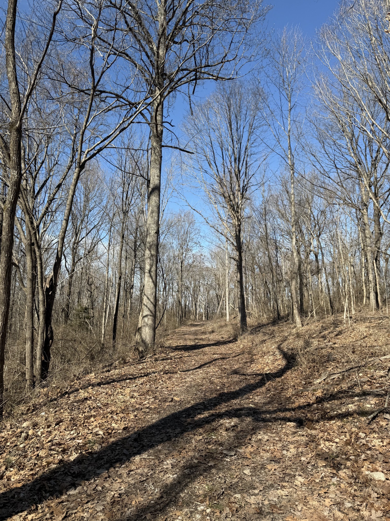 0 Hester Beasley Road Nashville, TN 37221 - Photo 18 of 57