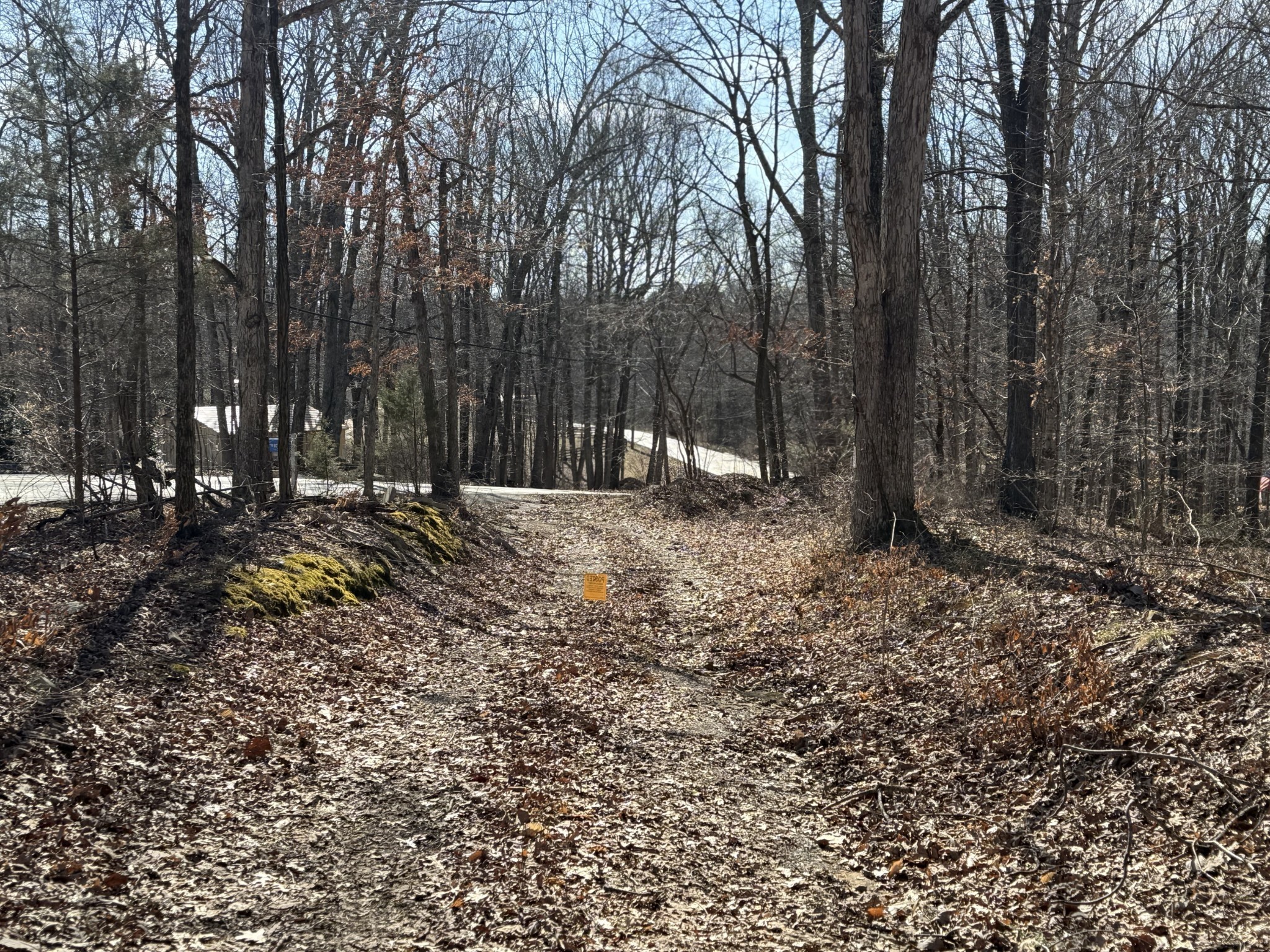 0 Hester Beasley Road Nashville, TN 37221 - Photo 28 of 57 a view of outdoor space with trees