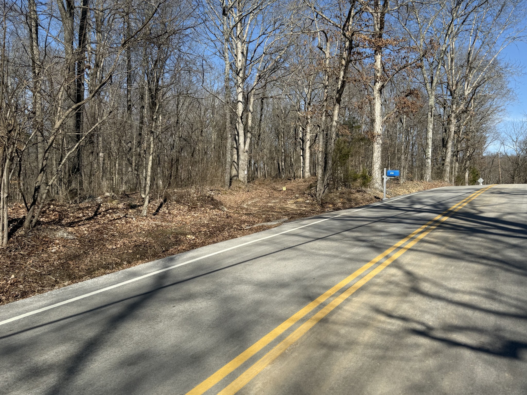 0 Hester Beasley Road Nashville, TN 37221 - Photo 33 of 57 a view of a backyard with large trees