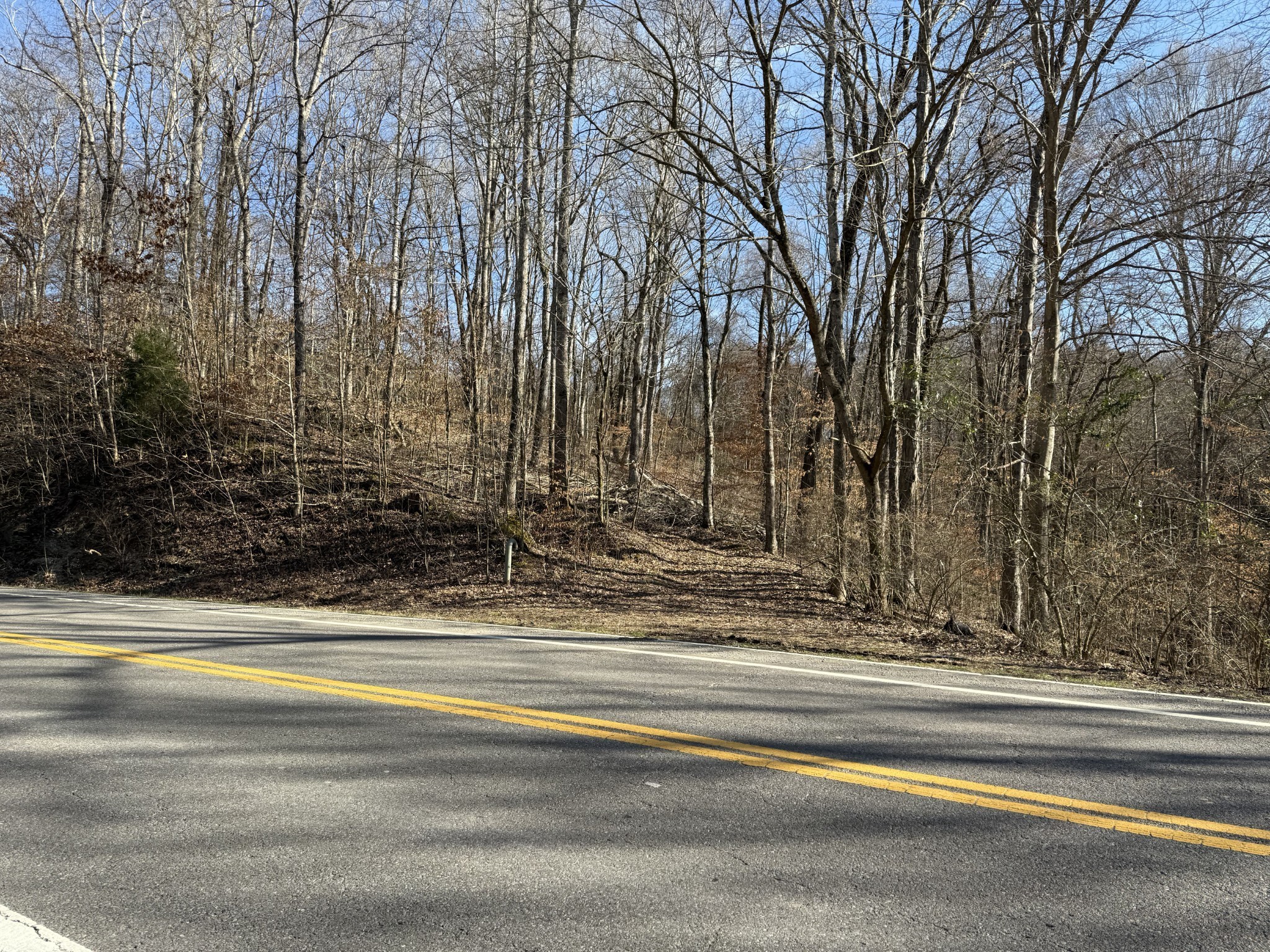 0 Hester Beasley Road Nashville, TN 37221 - Photo 35 of 57 a view of a house with a yard and large trees