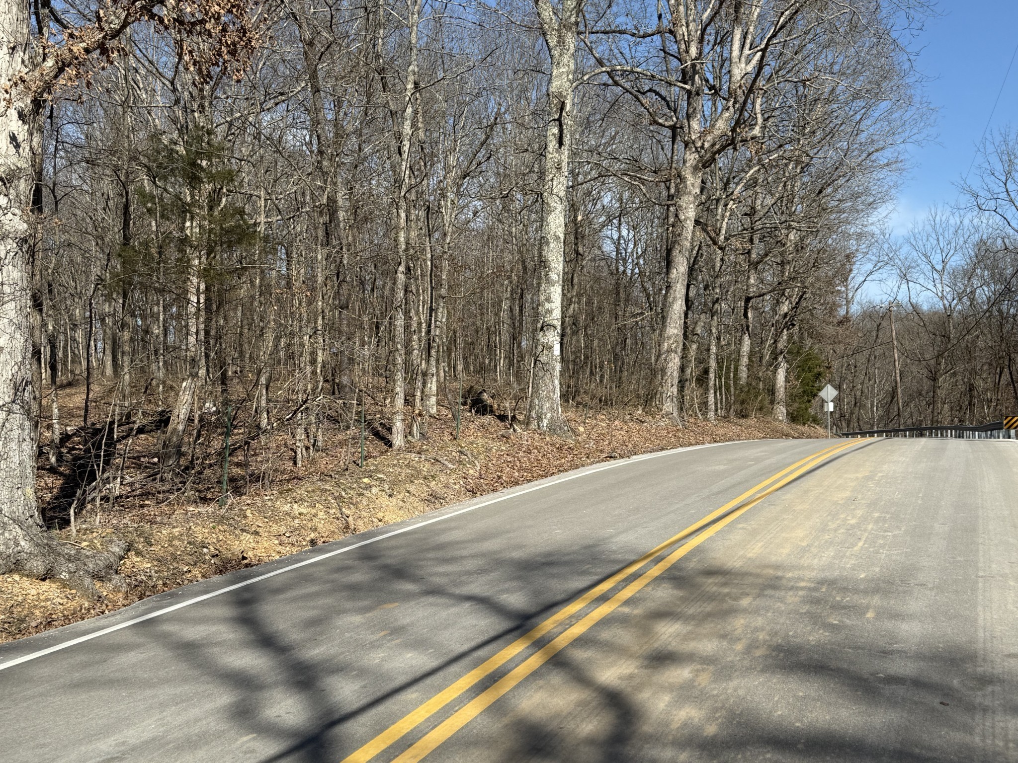 0 Hester Beasley Road Nashville, TN 37221 - Photo 36 of 57 a view of swimming pool with trees