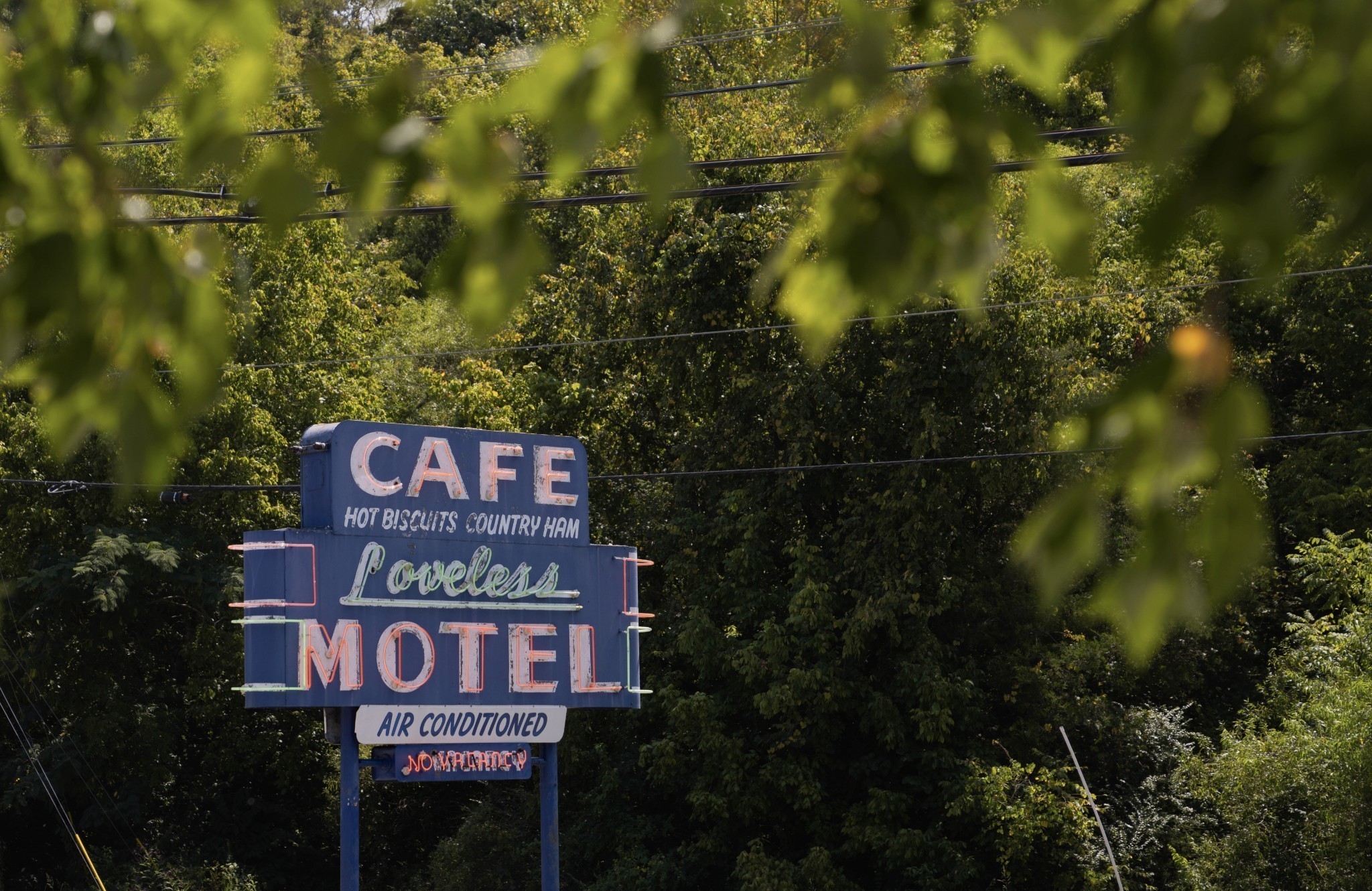 0 Hester Beasley Road Nashville, TN 37221 - Photo 39 of 57 a sign that is on a pole