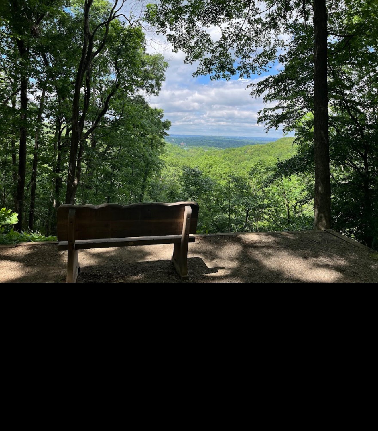 0 Hester Beasley Road Nashville, TN 37221 - Photo 48 of 57 a view of park with trees in the background