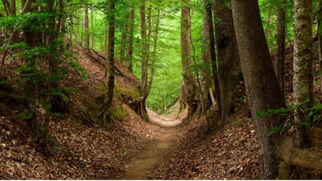 0 Hester Beasley Road Nashville, TN 37221 - Photo 55 of 57