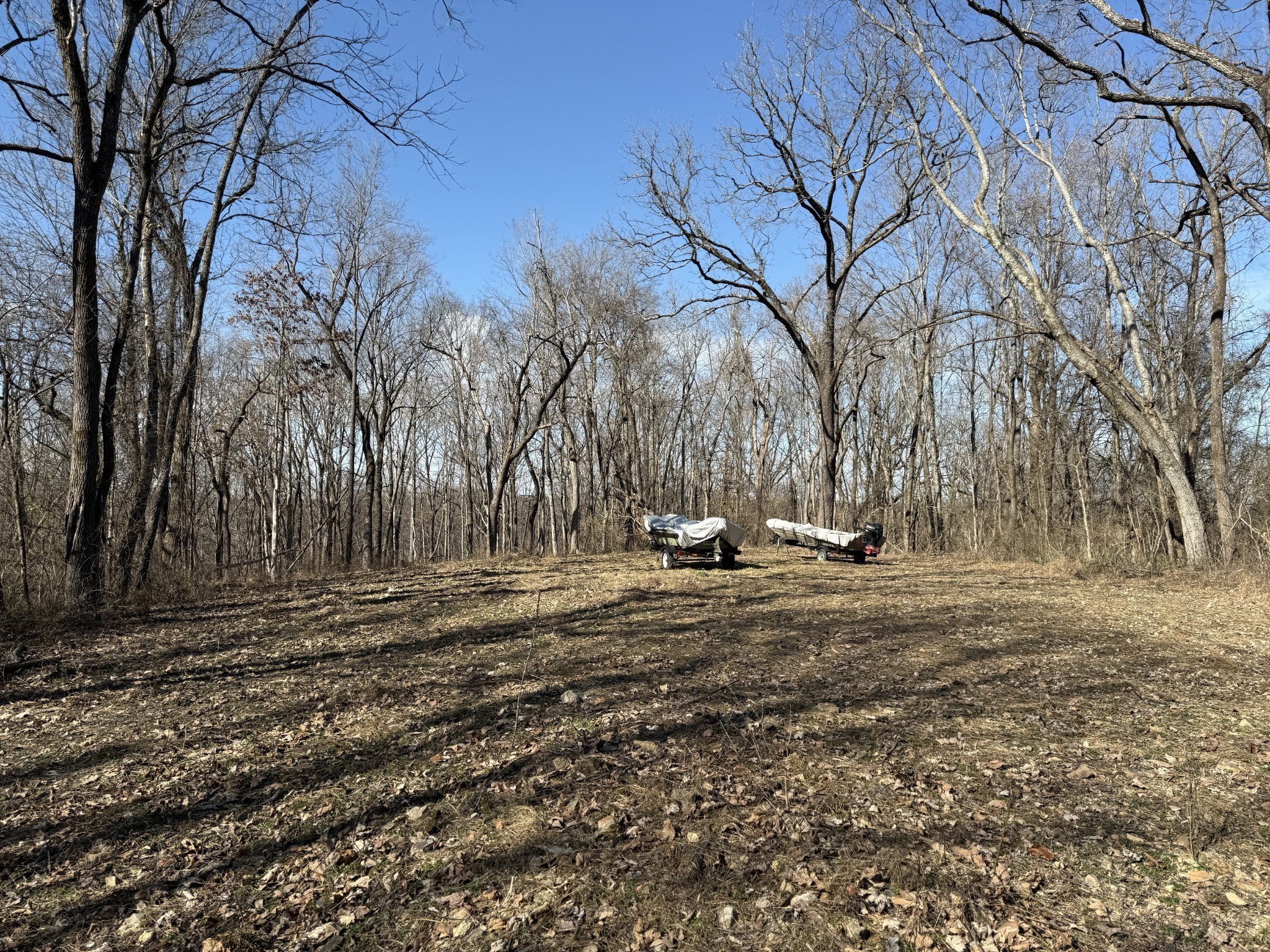 0 Hester Beasley Road Nashville, TN 37221 - Photo 6 of 57 a view of yard with trees