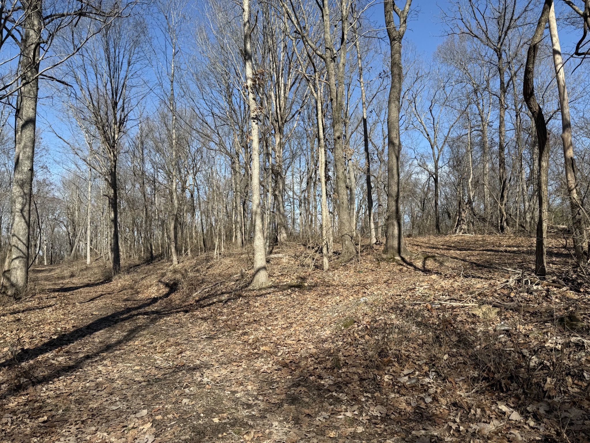 0 Hester Beasley Road Nashville, TN 37221 - Photo 7 of 57 a backyard of a house with lots of green space
