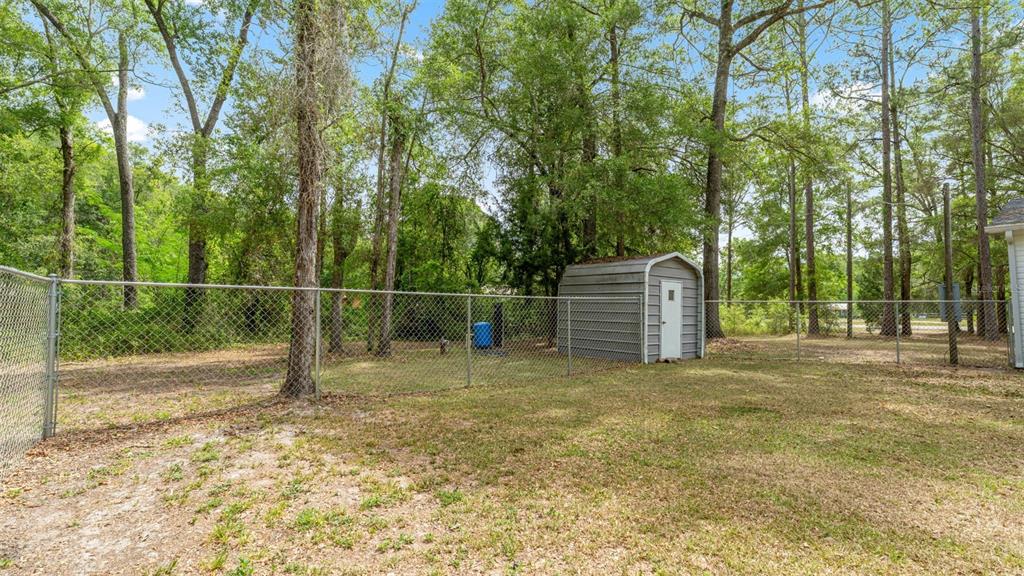 10379 Southwest 135 Street Archer, FL 32618 - Photo 34 of 45 a backyard of a house with plants and large trees