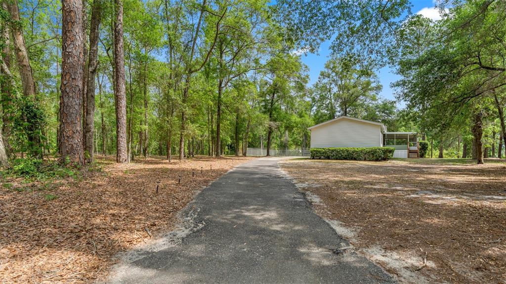 10379 Southwest 135 Street Archer, FL 32618 - Photo 39 of 45 a view of backyard and trees