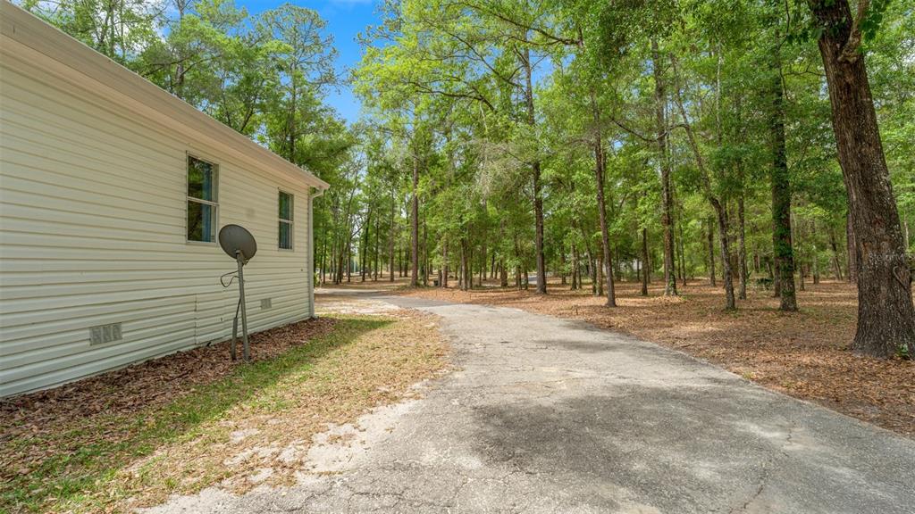 10379 Southwest 135 Street Archer, FL 32618 - Photo 40 of 45 a view of a backyard with large trees