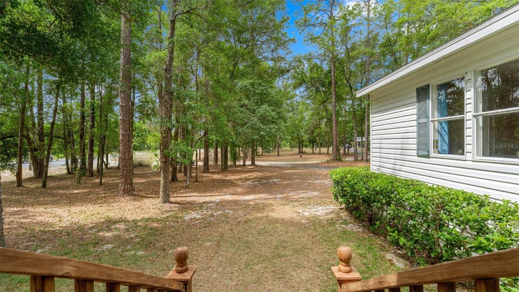10379 Southwest 135 Street Archer, FL 32618 - Photo 45 of 45 a view of a yard with plants and trees