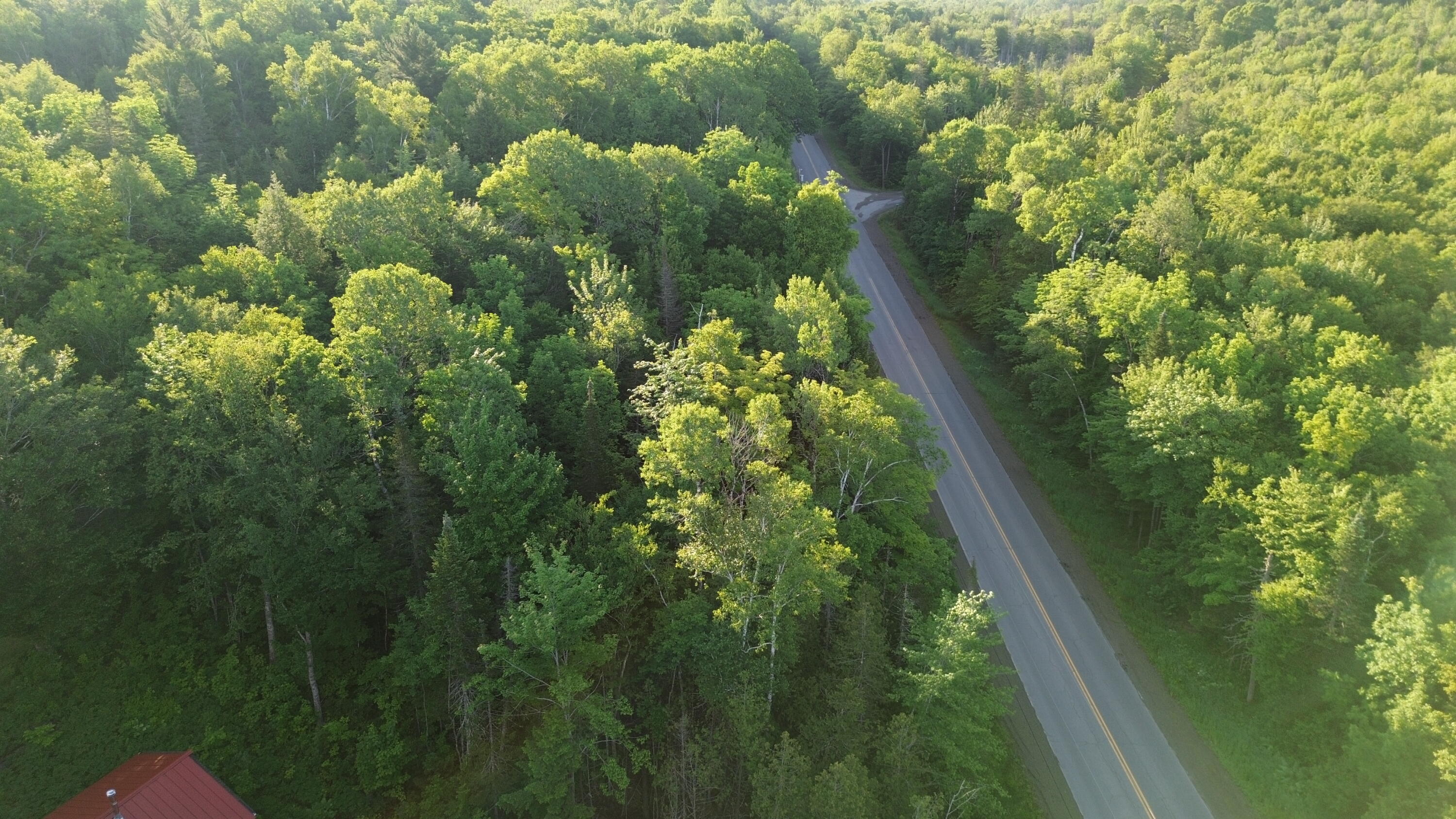 24a Anson Valley Road New Vineyard, ME 04956 - Photo 85 of 93 DJI_0099