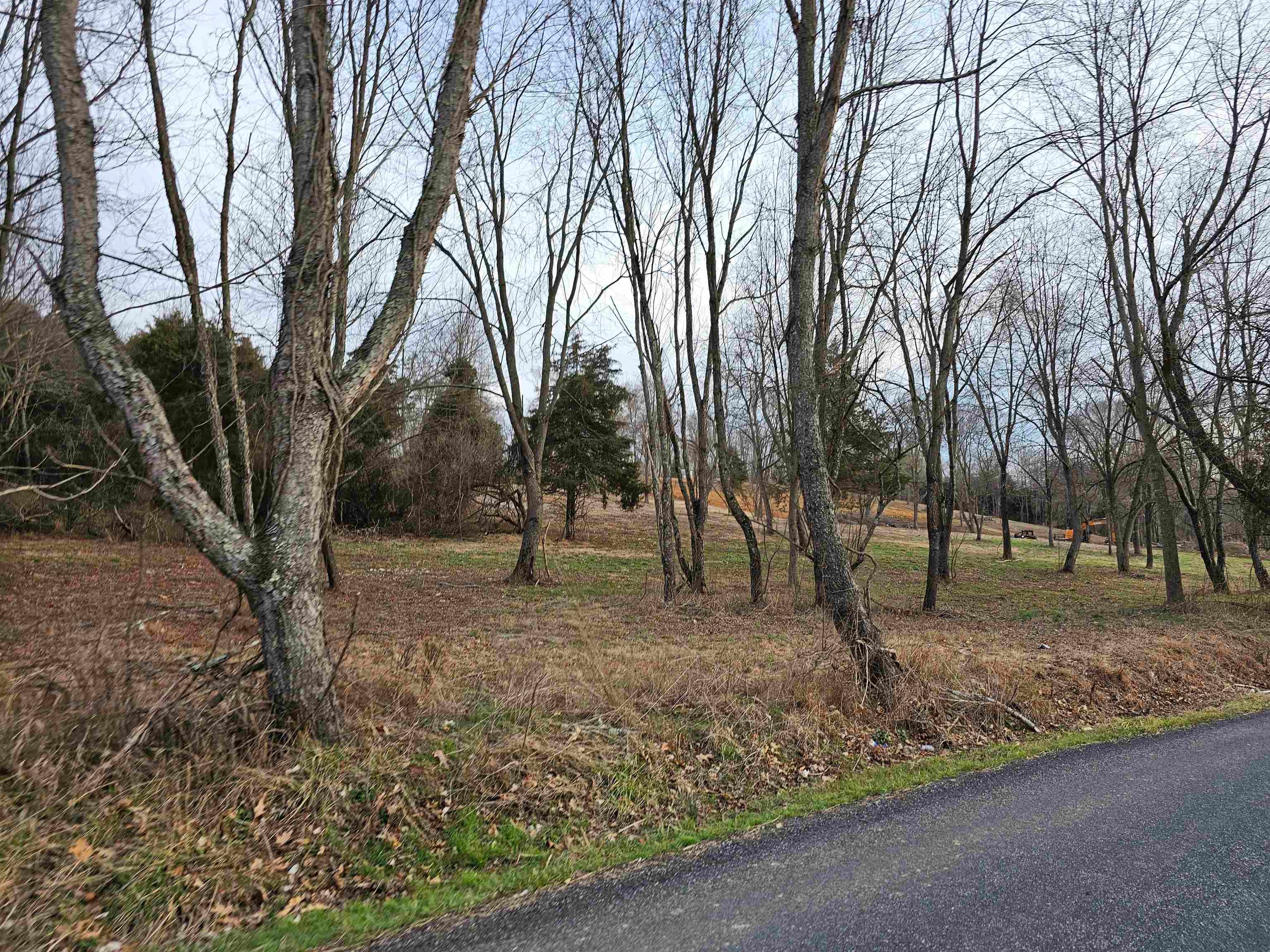9-crown Ridge Berry Farm Road Staunton, VA 24401 - Photo 15 of 27 Gallery Image 15