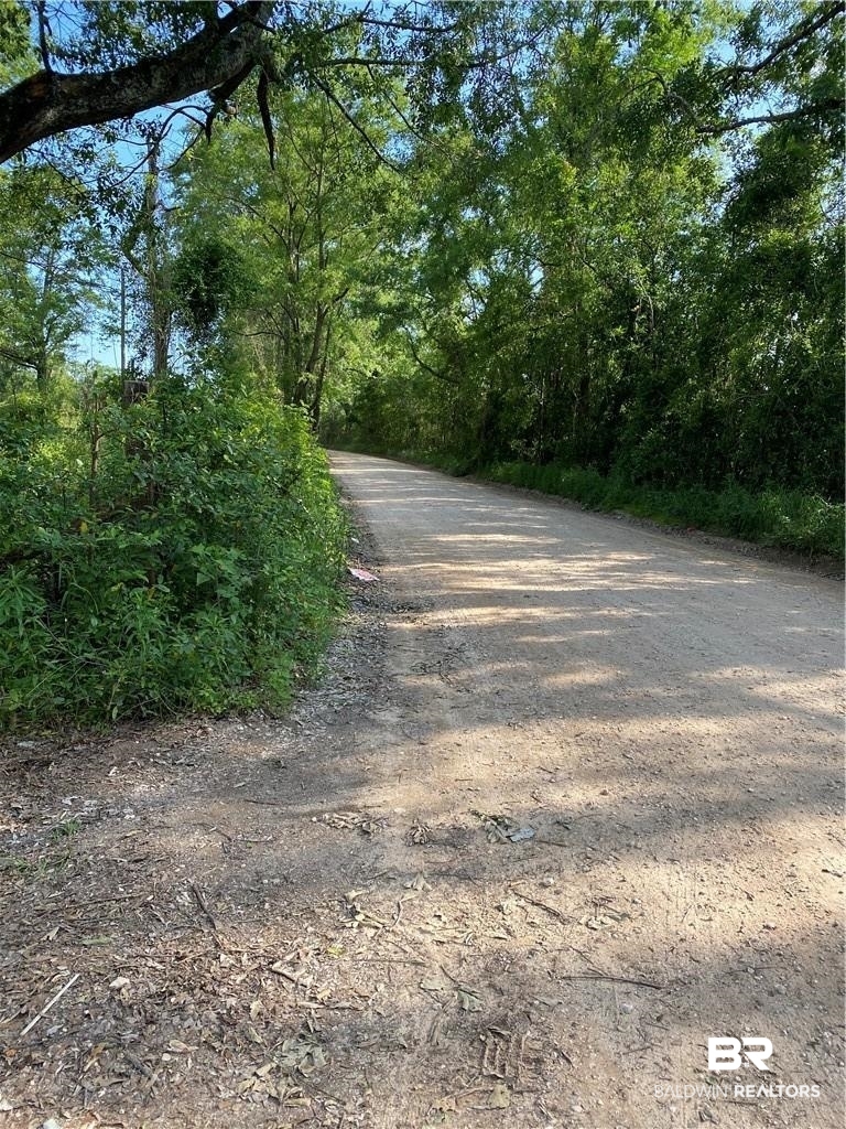 0 Aubrey Lane Chunchula, AL 36521 - Photo 5 of 7