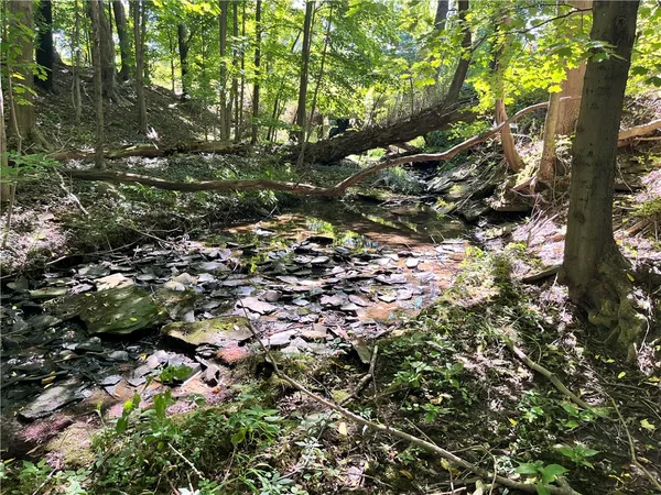 $49,900 | Highland Avenue, Brocton, NY 14716