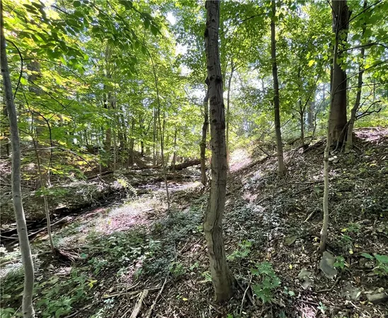 $49,900 | Highland Avenue, Brocton, NY 14716