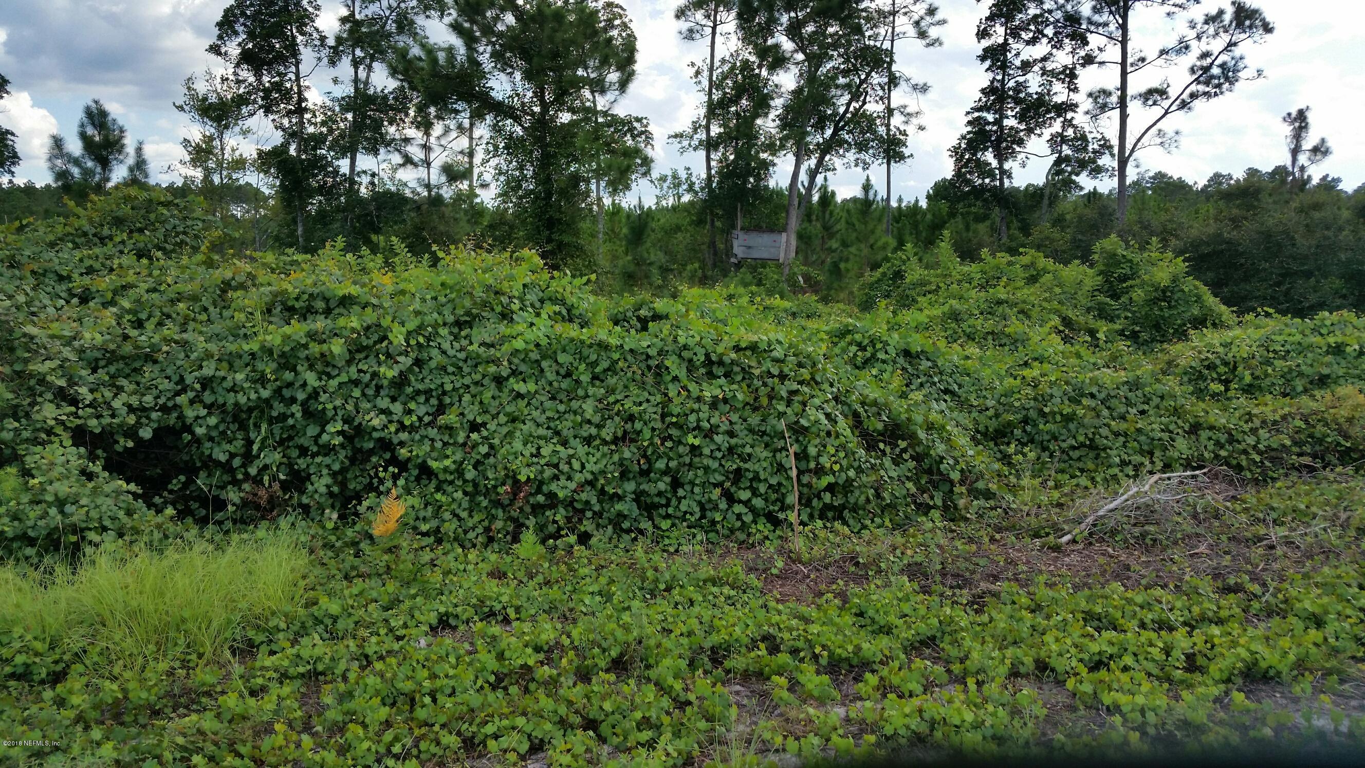 225 Church Road Crescent City, FL 32112 - Photo 10 of 12 Tree stand