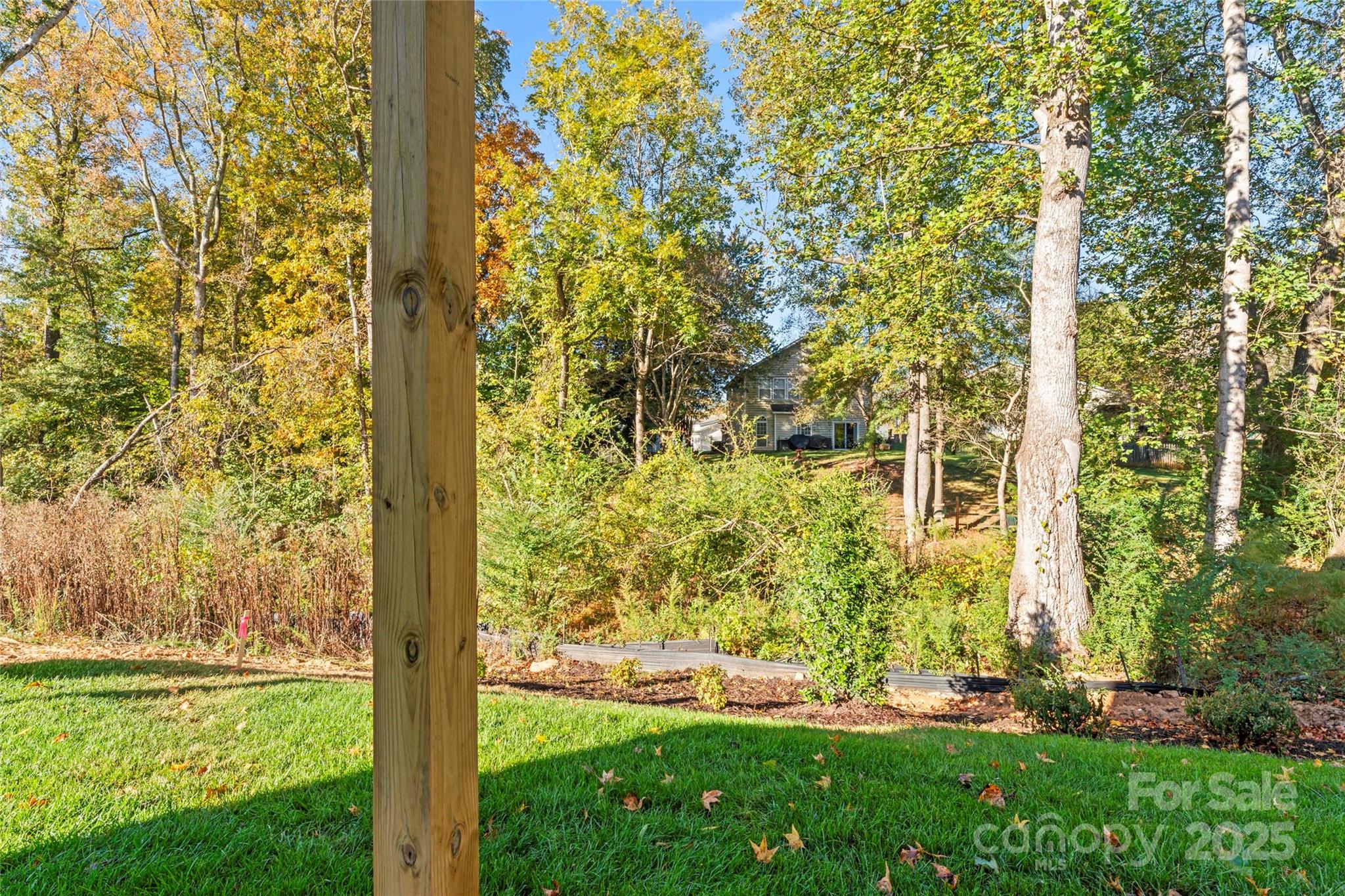 430 Bogue Drive, Unit 24 Fort Mill, SC 29708 - Photo 39 of 48 a view of back yard from a yard