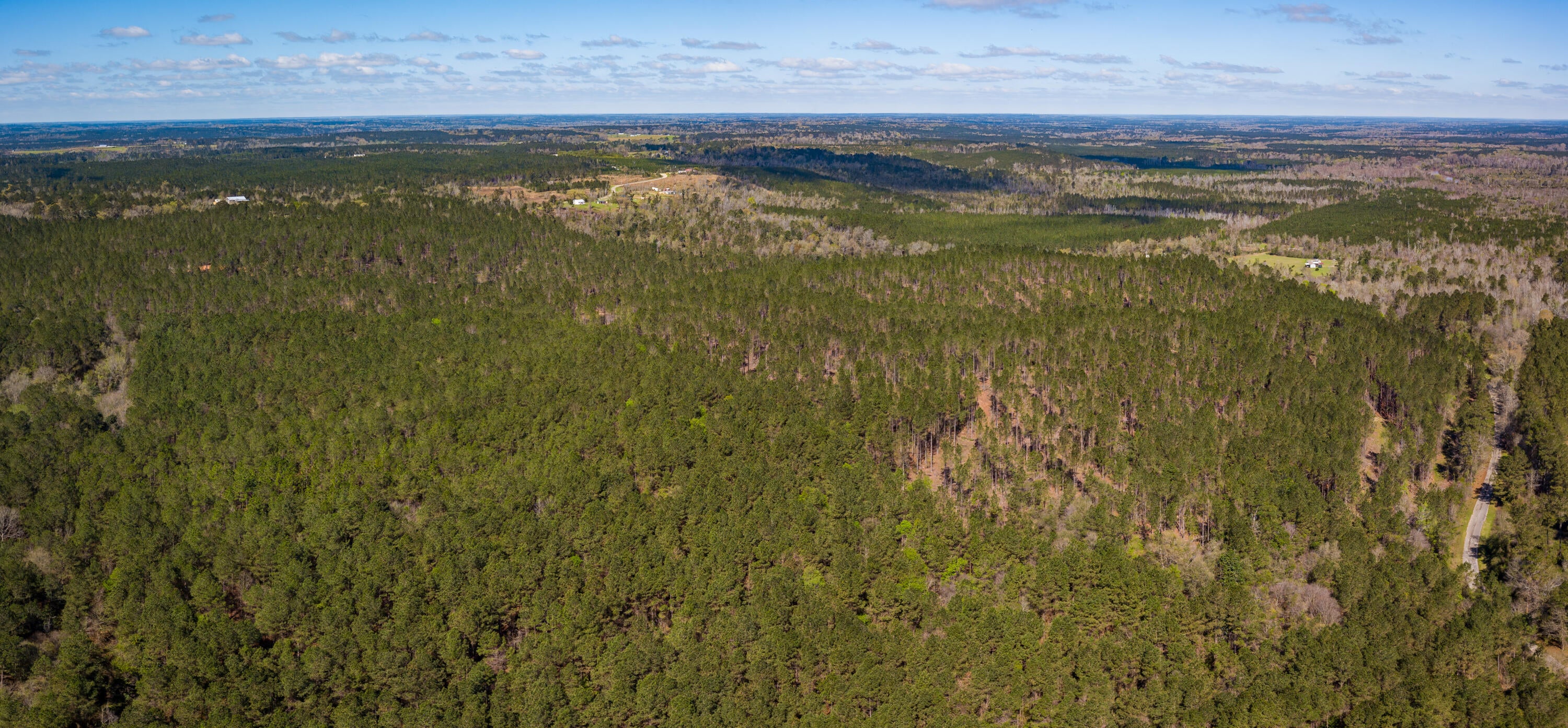 Lot 10 Timothy Road Ellisville, MS 39437 - Photo 6 of 17 Gallery Image 6