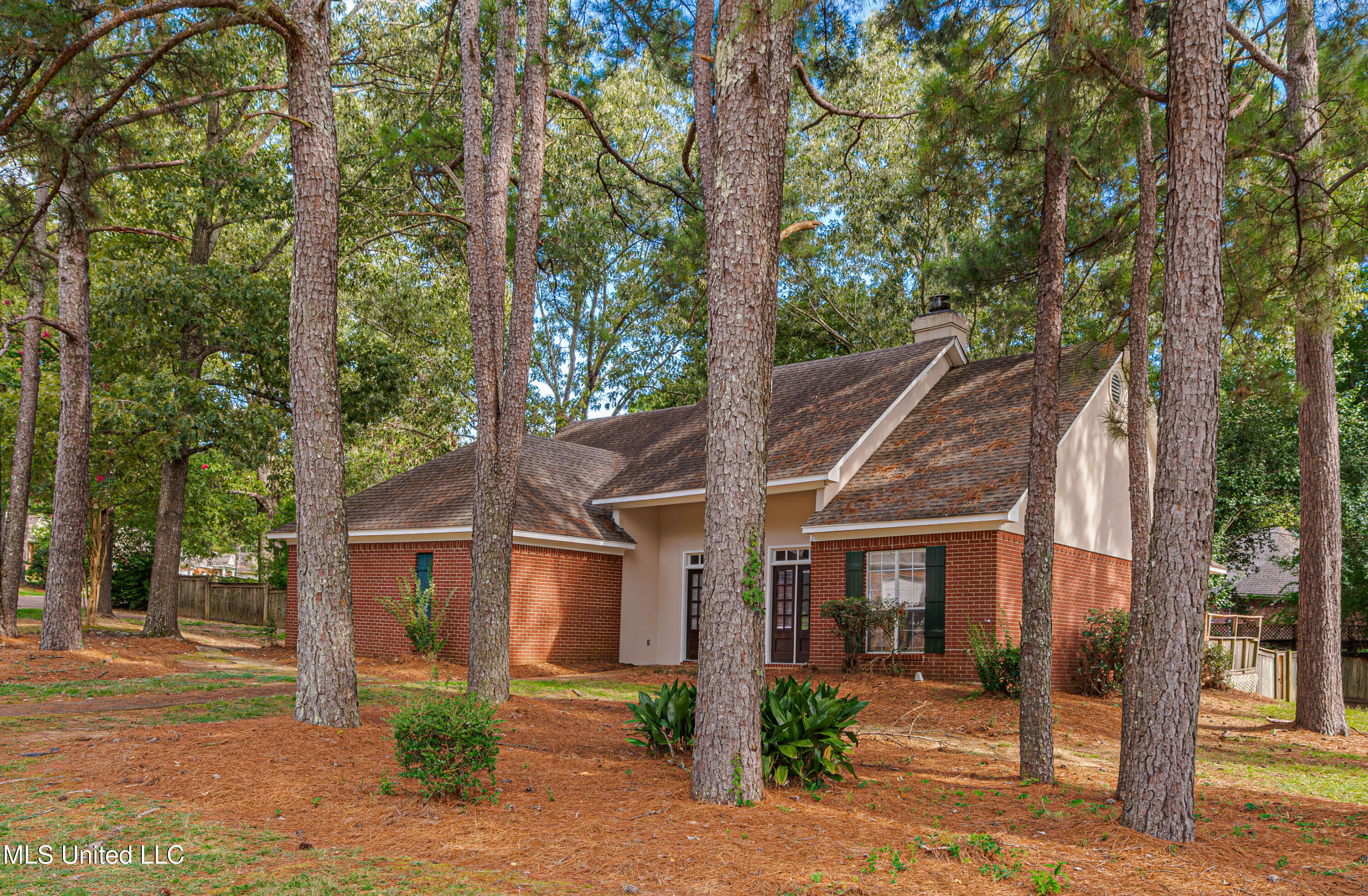 421 Violet Drive Madison, MS 39110 - Photo 2 of 37 1R4A2077